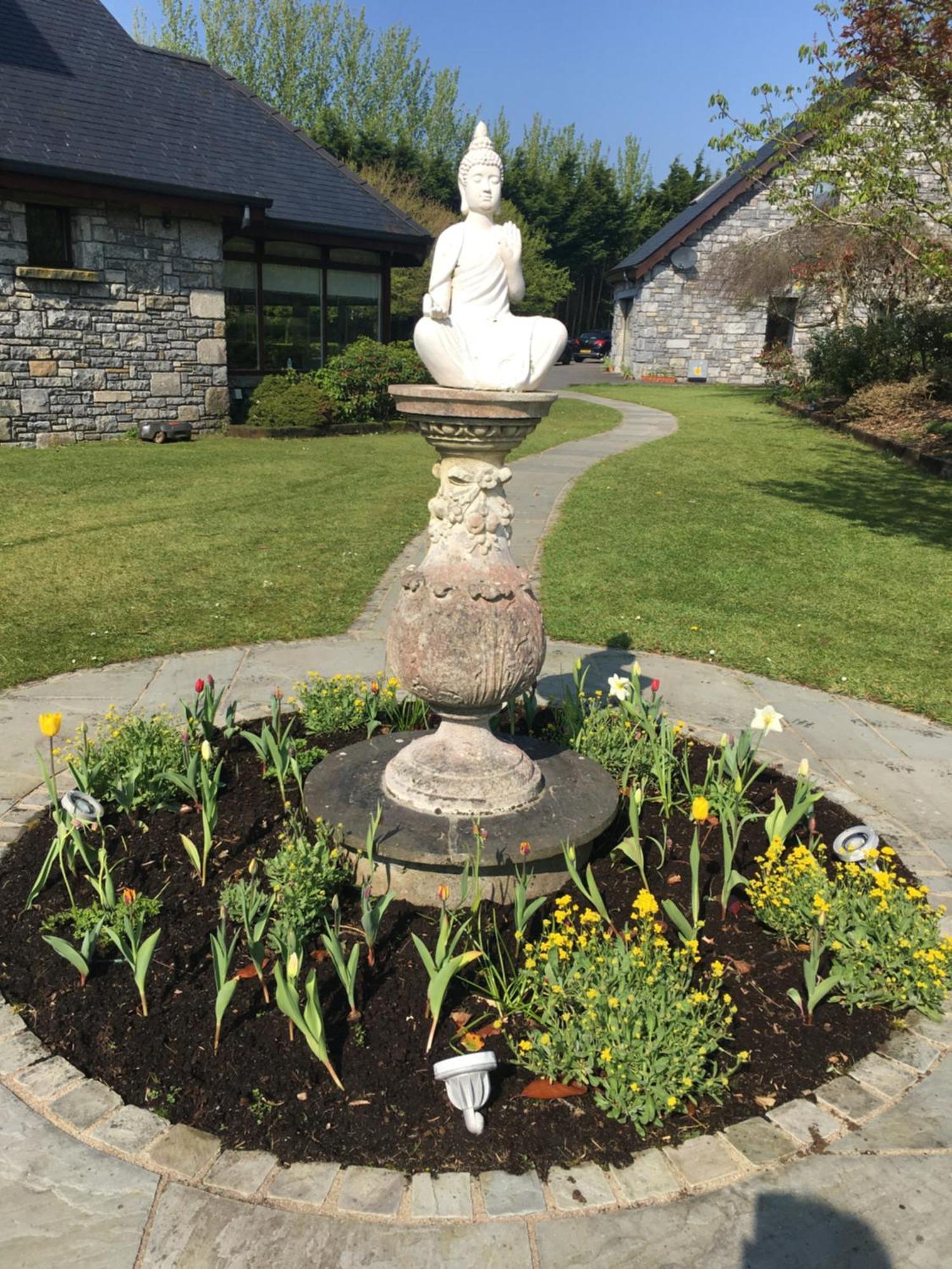 Bed and Breakfast Castledale Sligo Exterior foto