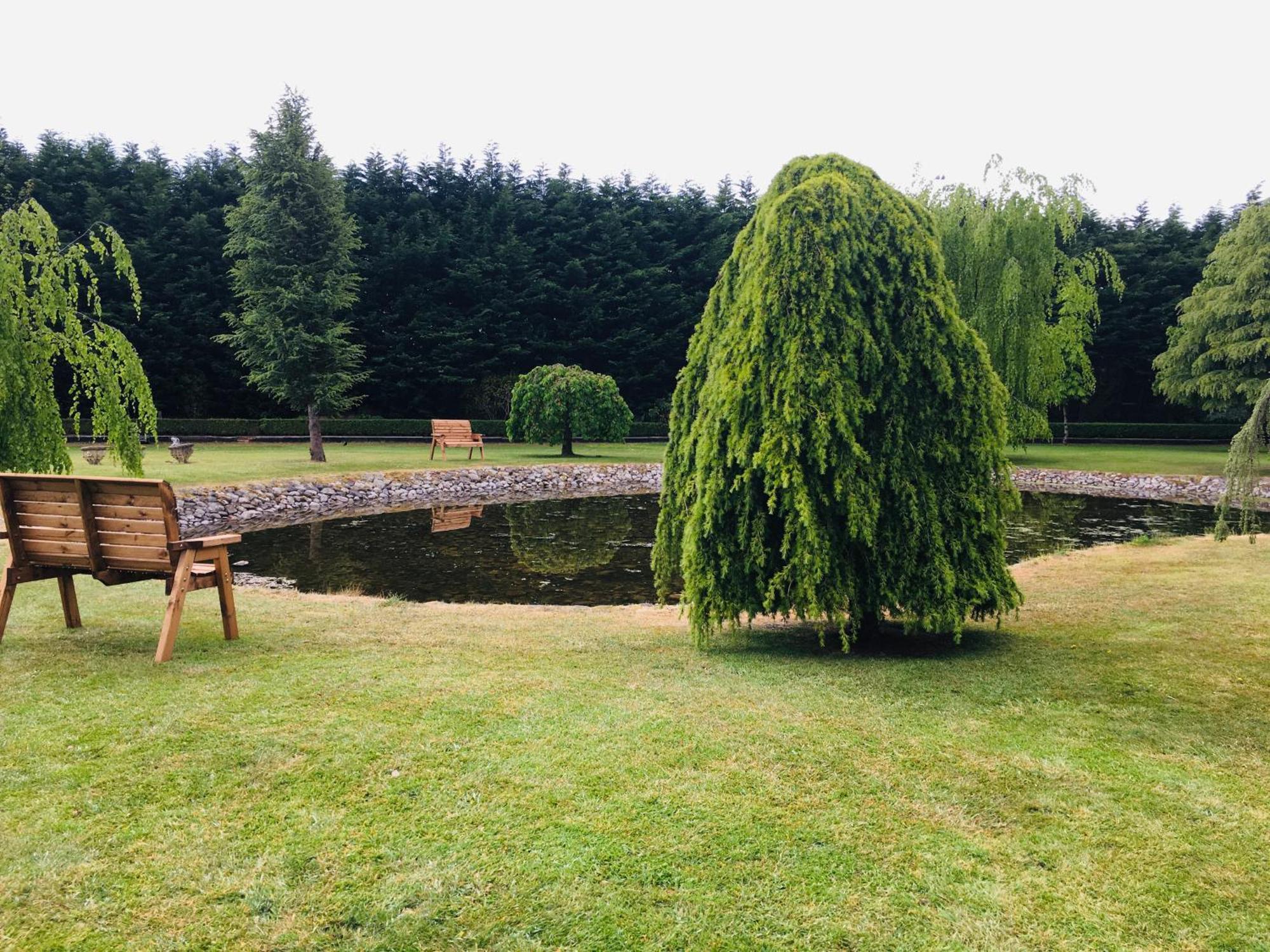 Bed and Breakfast Castledale Sligo Exterior foto